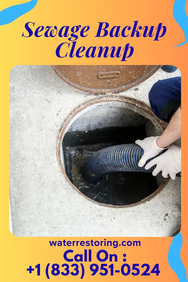Sewage Backup Cleanup in San Marcos, TX